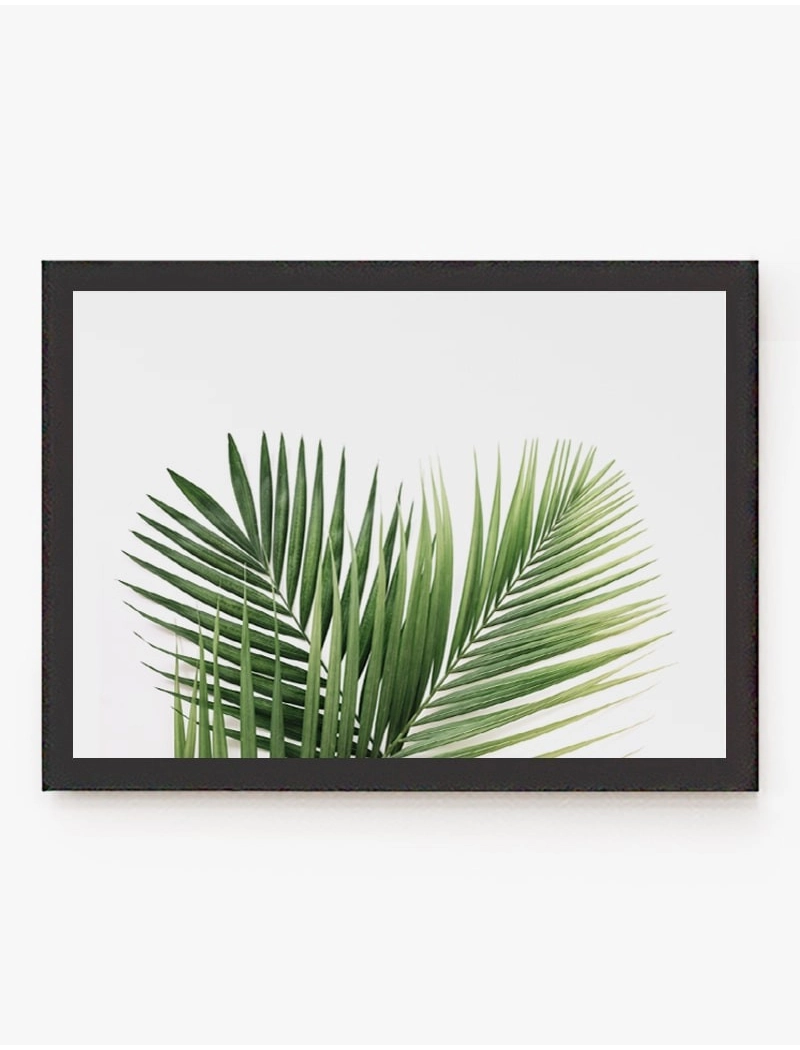 Cuadro Palmeras | Be Minimal