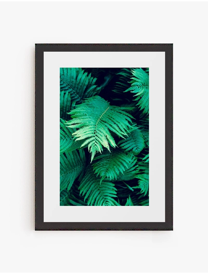 Cuadro Verde Profundo | Be Minimal