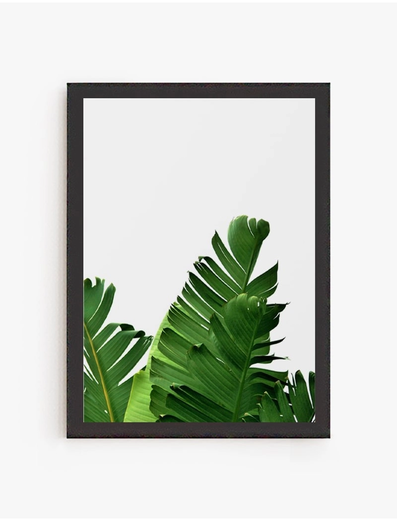 Cuadro Hoja Banana 02 | Be Minimal