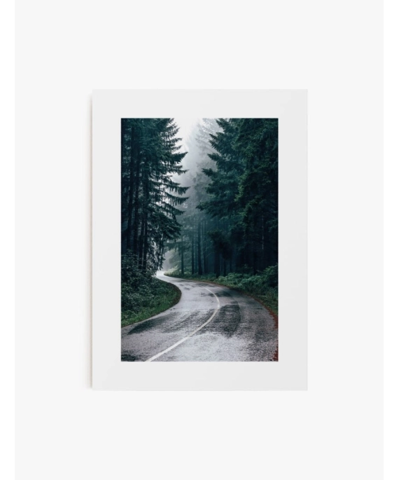Cuadro Bosque | Be Minimal