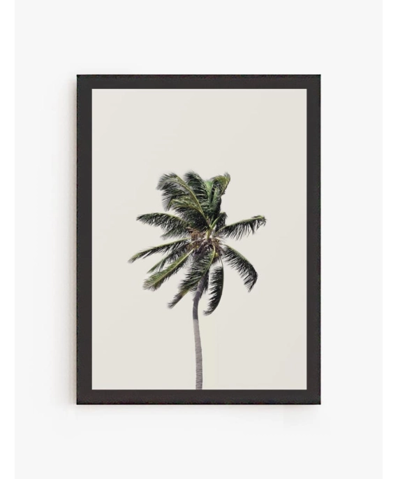 Cuadro Palmera | Be Minimal