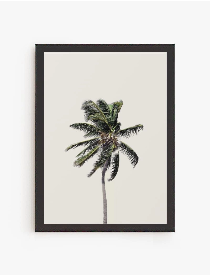 Cuadro Palmera | Be Minimal