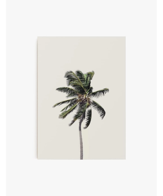 Cuadro Palmera | Be Minimal