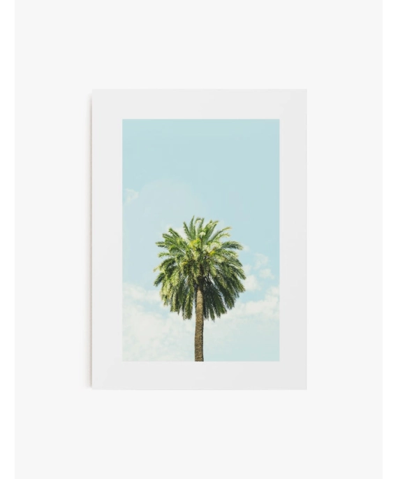 Cuadro Palmera | Be Minimal