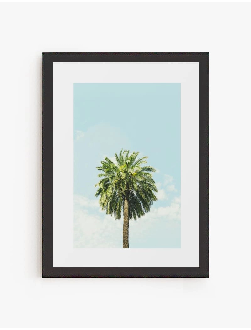 Cuadro Palmera | Be Minimal