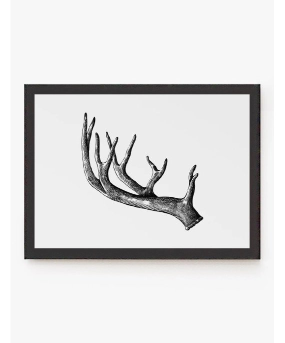Cuadro Asta Alce | Be Minimal