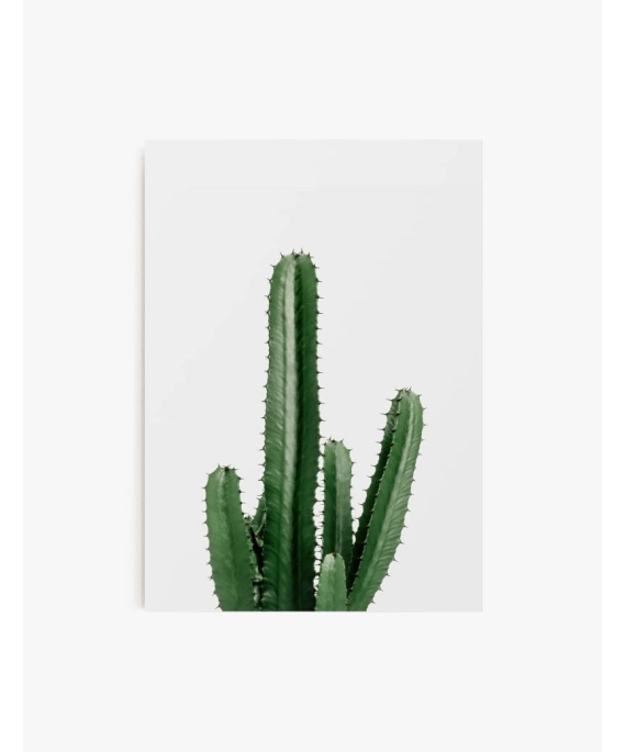 Cuadro Cactus en atardecer | Be Minimal