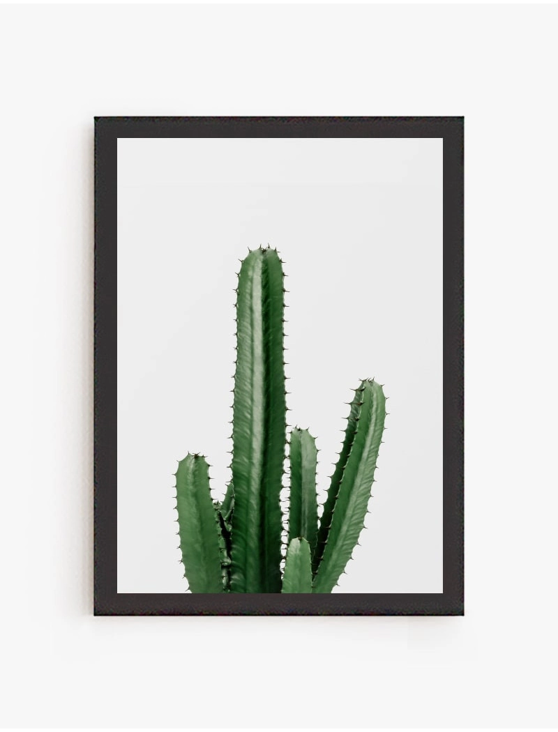 Cuadro Cactus en atardecer | Be Minimal
