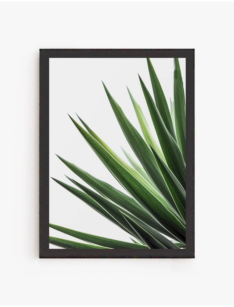 Cuadro Yuca | Be Minimal