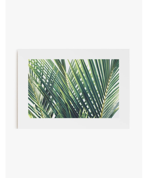 Cuadro Palm Trees | Be Minimal