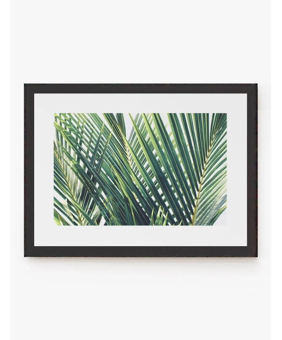 Cuadro Palm Trees | Be Minimal