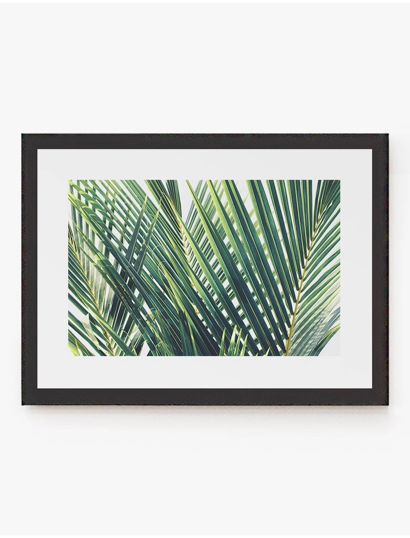Cuadro Palm Trees | Be Minimal