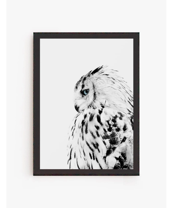 Cuadro Buho Blanco | Be Minimal