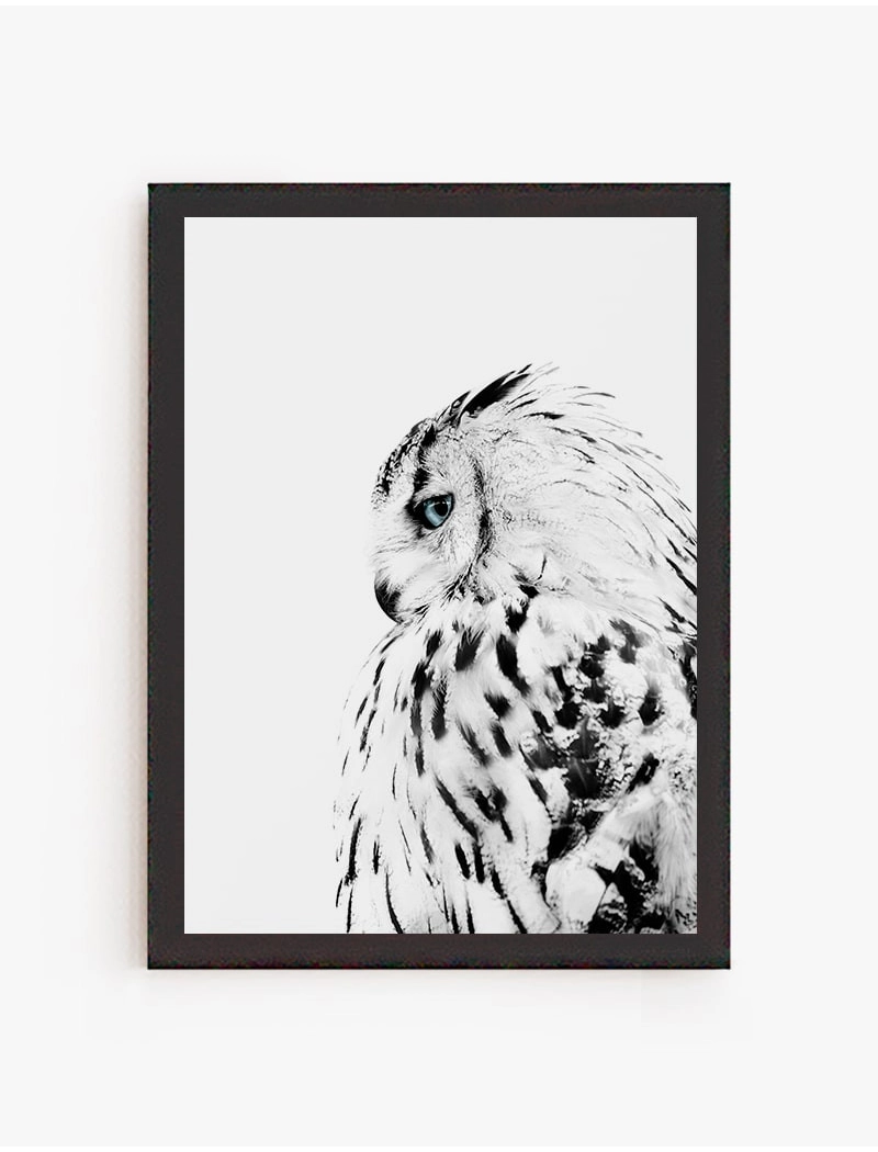 Cuadro Buho Blanco | Be Minimal