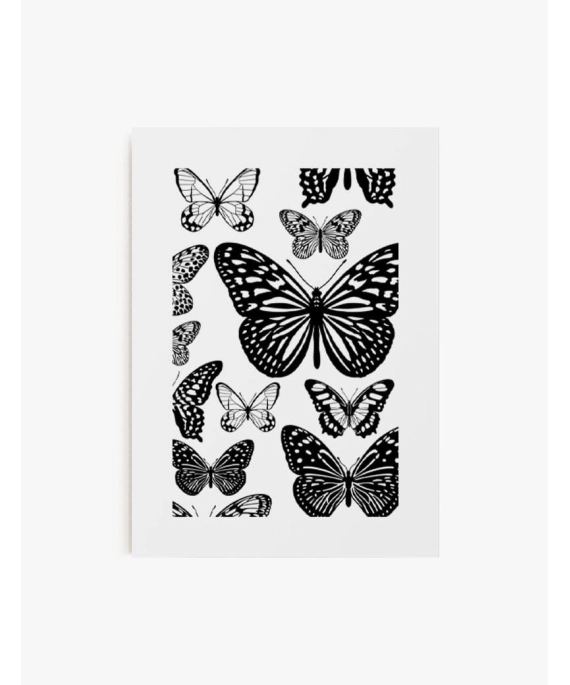 Cuadro Mariposas | Be Minimal