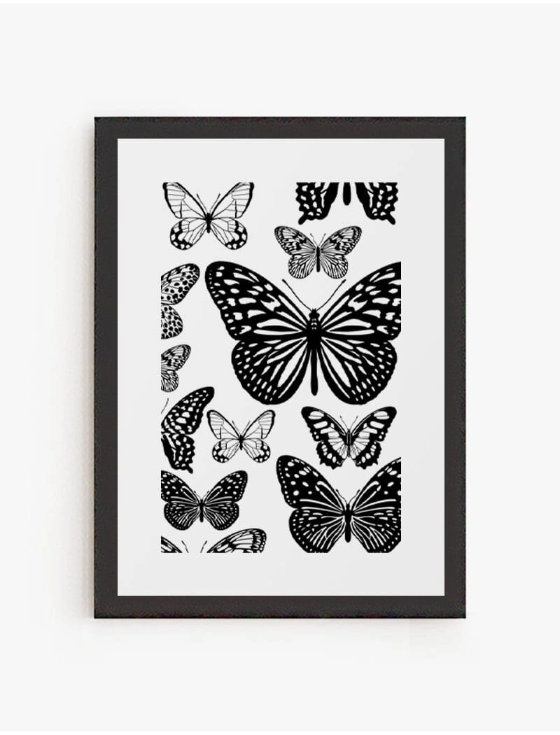 Cuadro Mariposas | Be Minimal