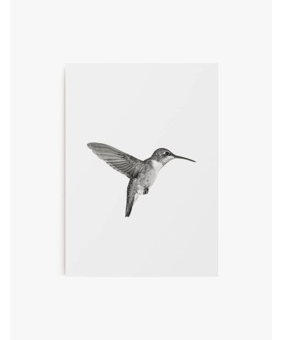 Cuadro Picaflor | Be Minimal