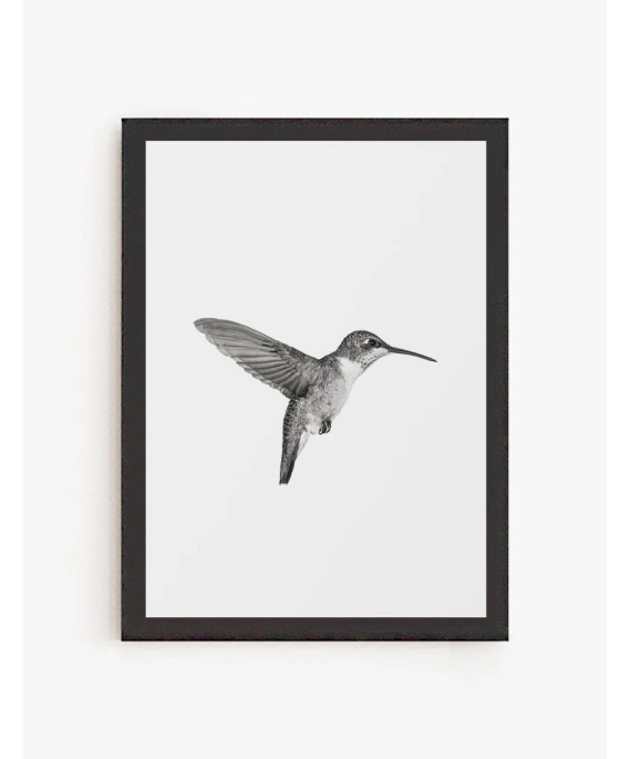Cuadro Picaflor | Be Minimal