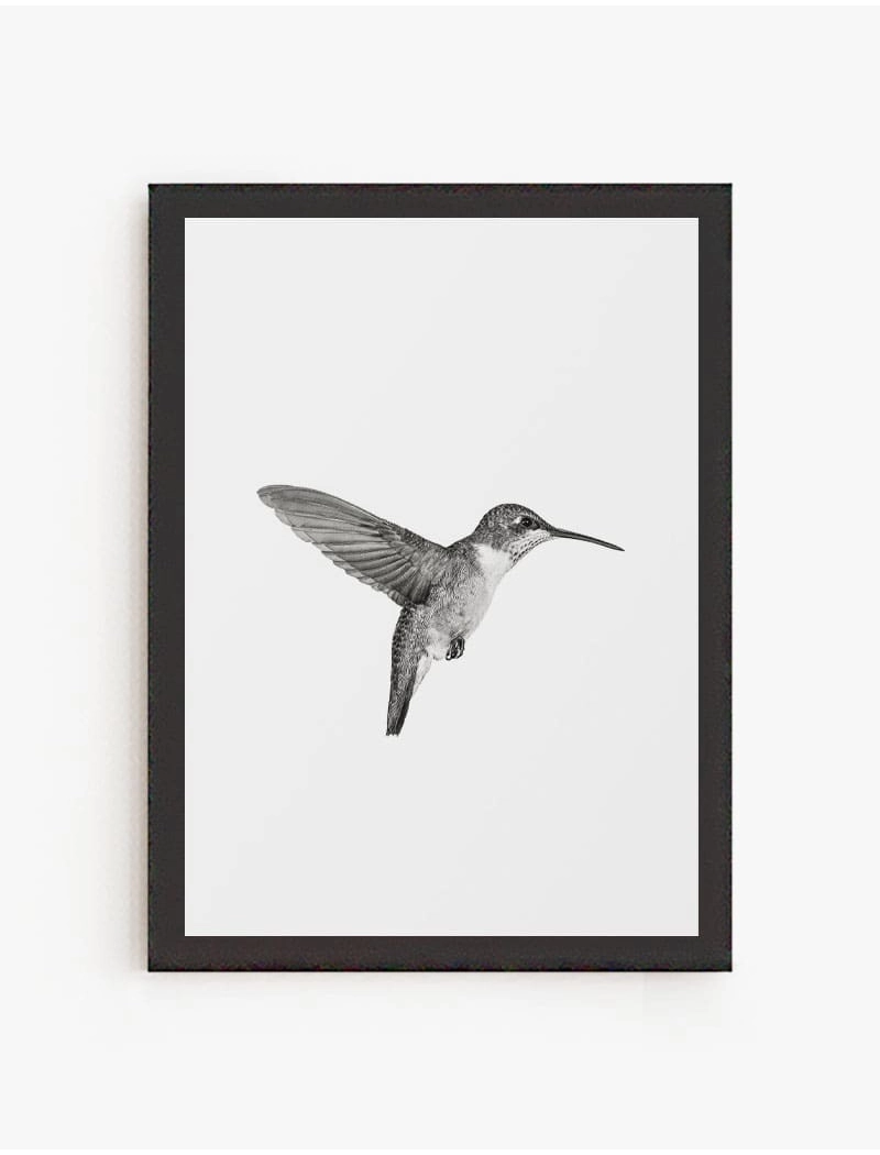Cuadro Picaflor | Be Minimal