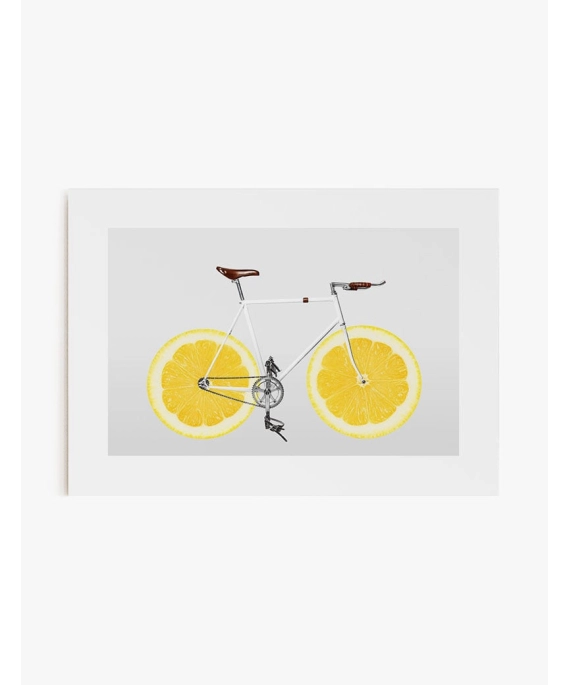 Cuadro Lemon Bike | Be Minimal