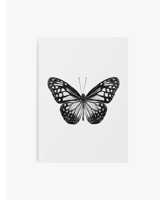 Cuadro Mariposa 01 | Be Minimal