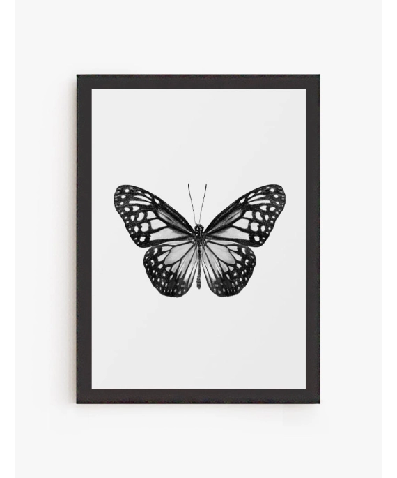 Cuadro Mariposa 01 | Be Minimal