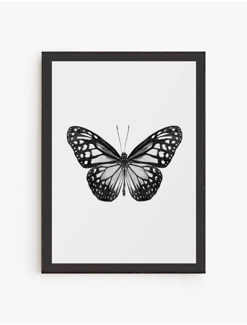 Cuadro Mariposa 01 | Be Minimal