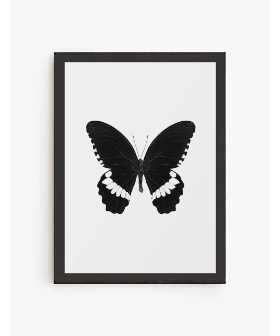 Cuadro Mariposa 02 | Be Minimal