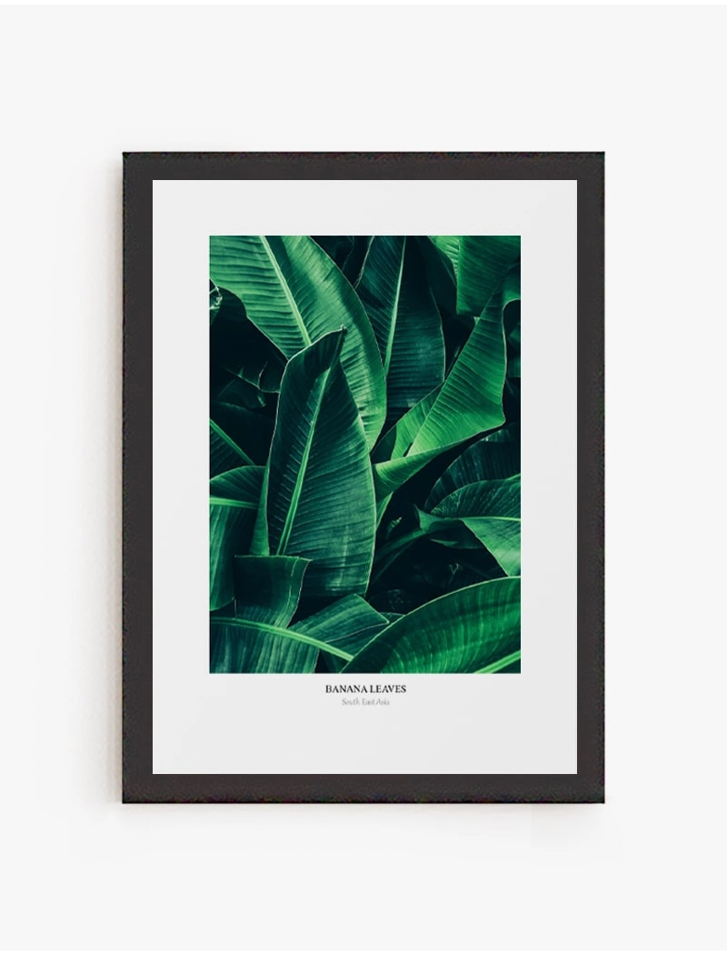 Cuadro Banana Leaves | Lámina decorativa para enmarcar