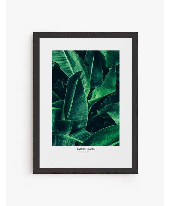Cuadro Banana Leaves | Lámina decorativa para enmarcar