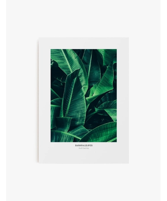 Cuadro Banana Leaves | Lámina decorativa para enmarcar