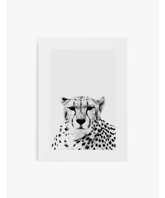 Cuadro Cheetah | Be Minimal