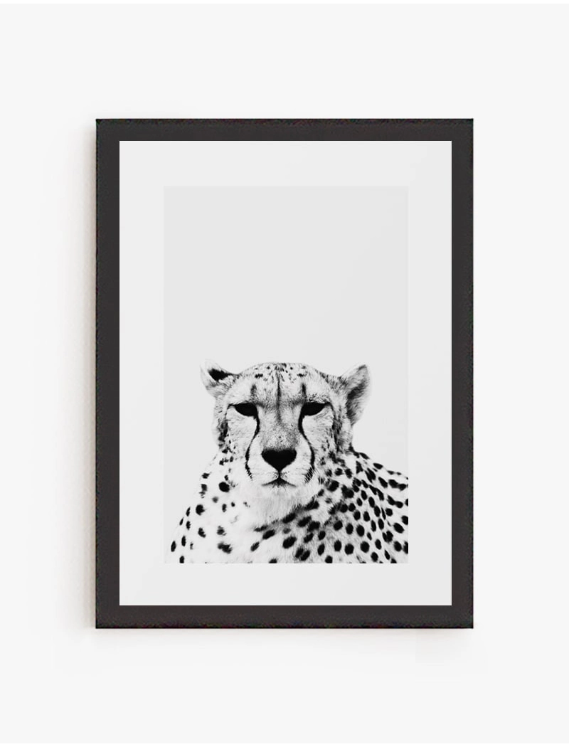 Cuadro Cheetah | Be Minimal