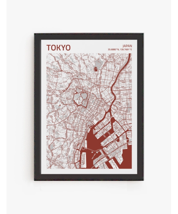 Cuadro Mapa Tokyo | Be Minimal