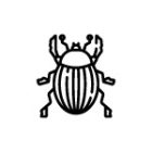 Insectos