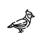 Aves