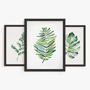 Set Océano